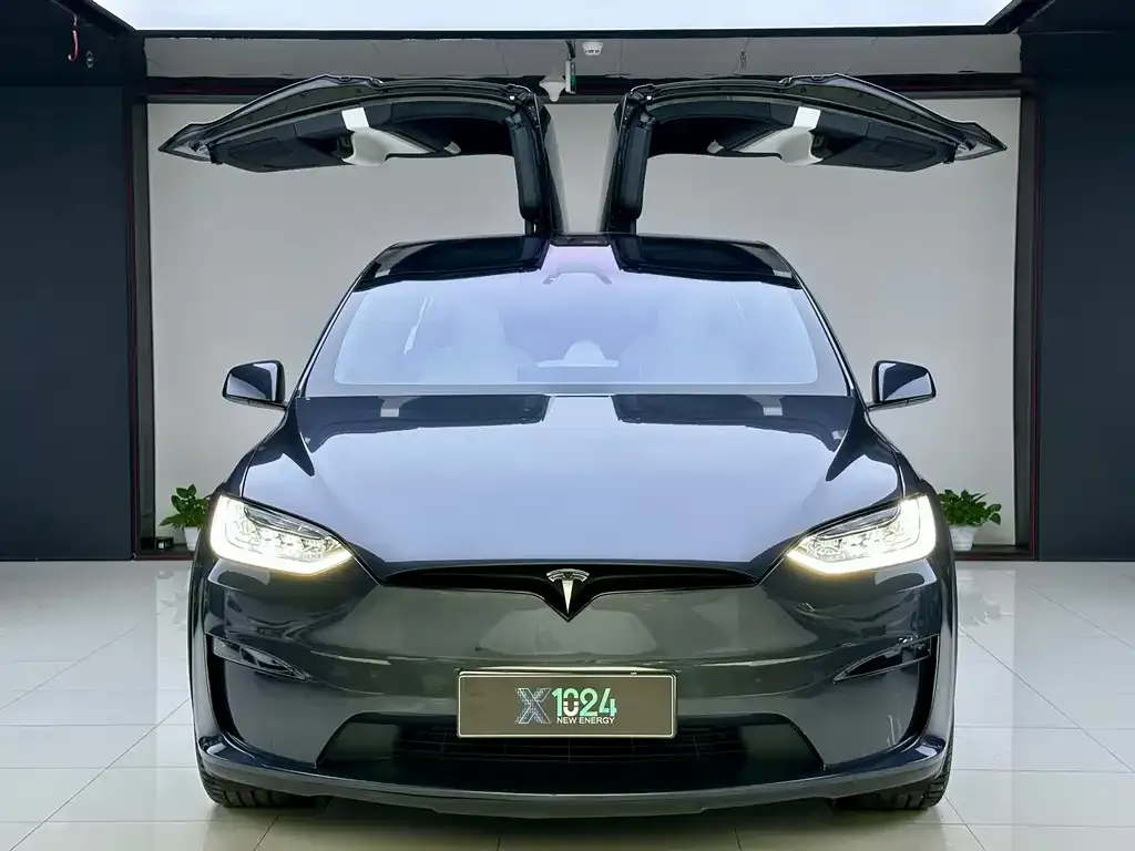 Tesla Model X — фото 6