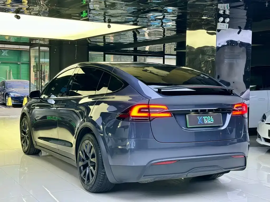 Tesla Model X — фото 10