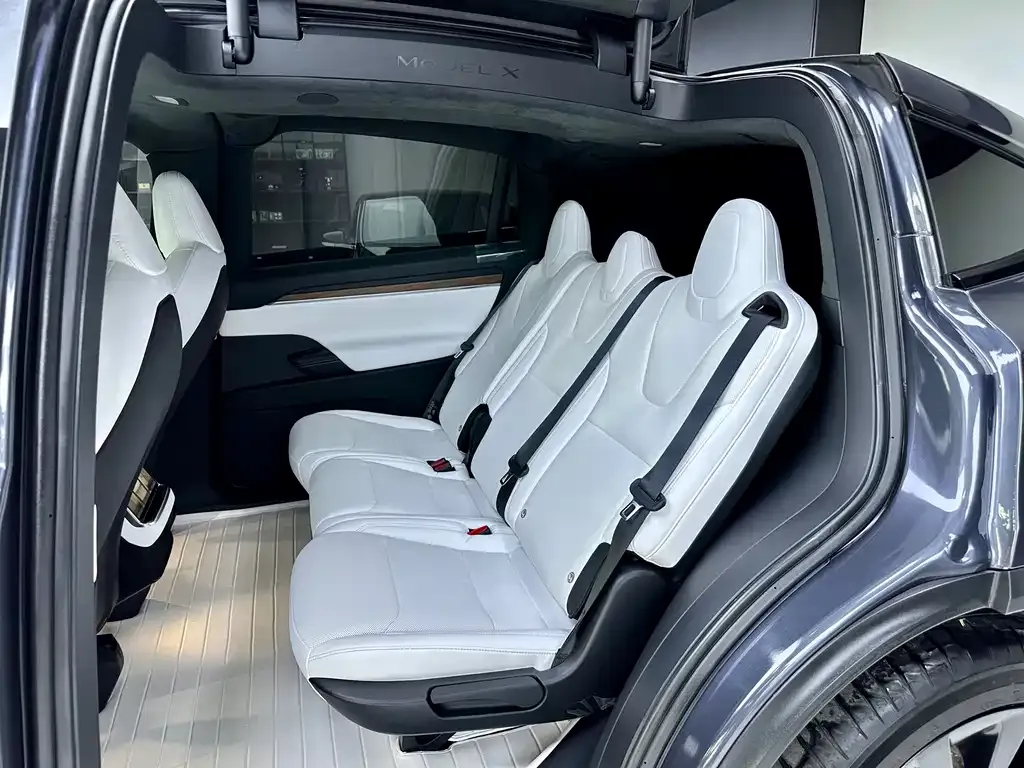 Tesla Model X — фото 8