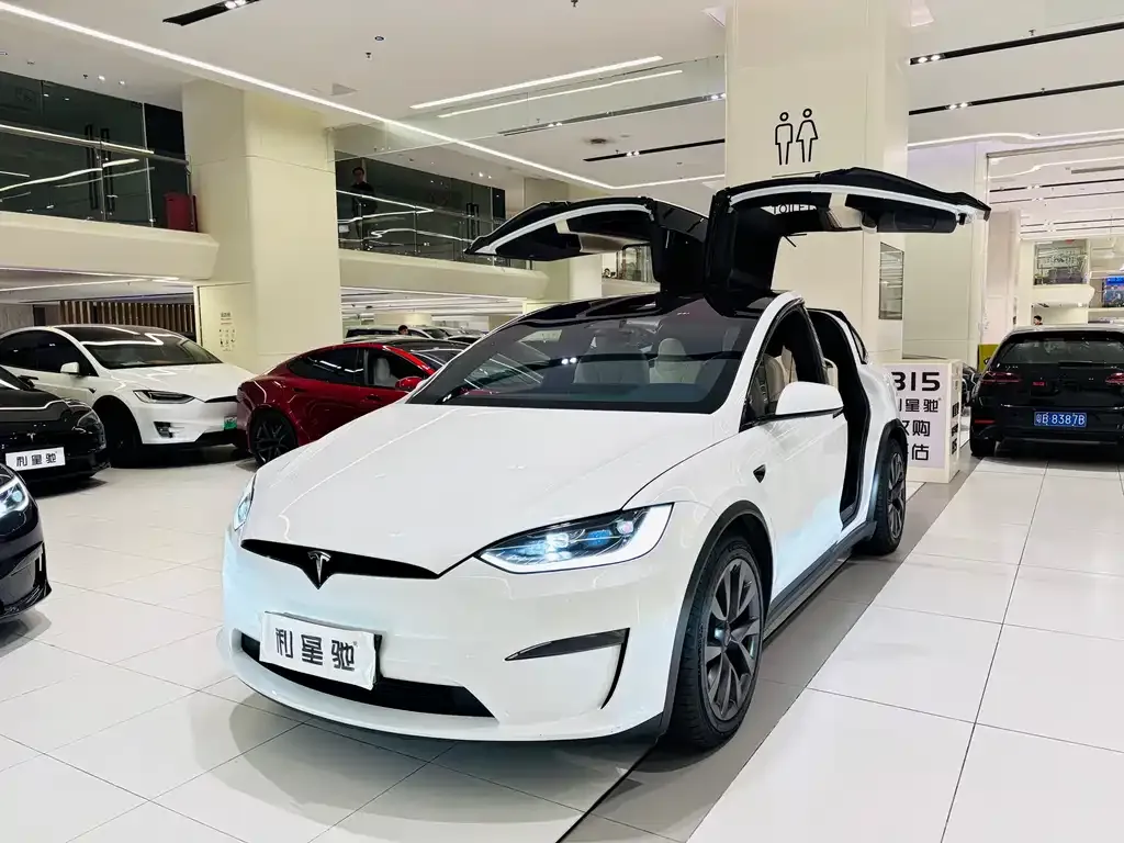 Tesla Model X — фото 1