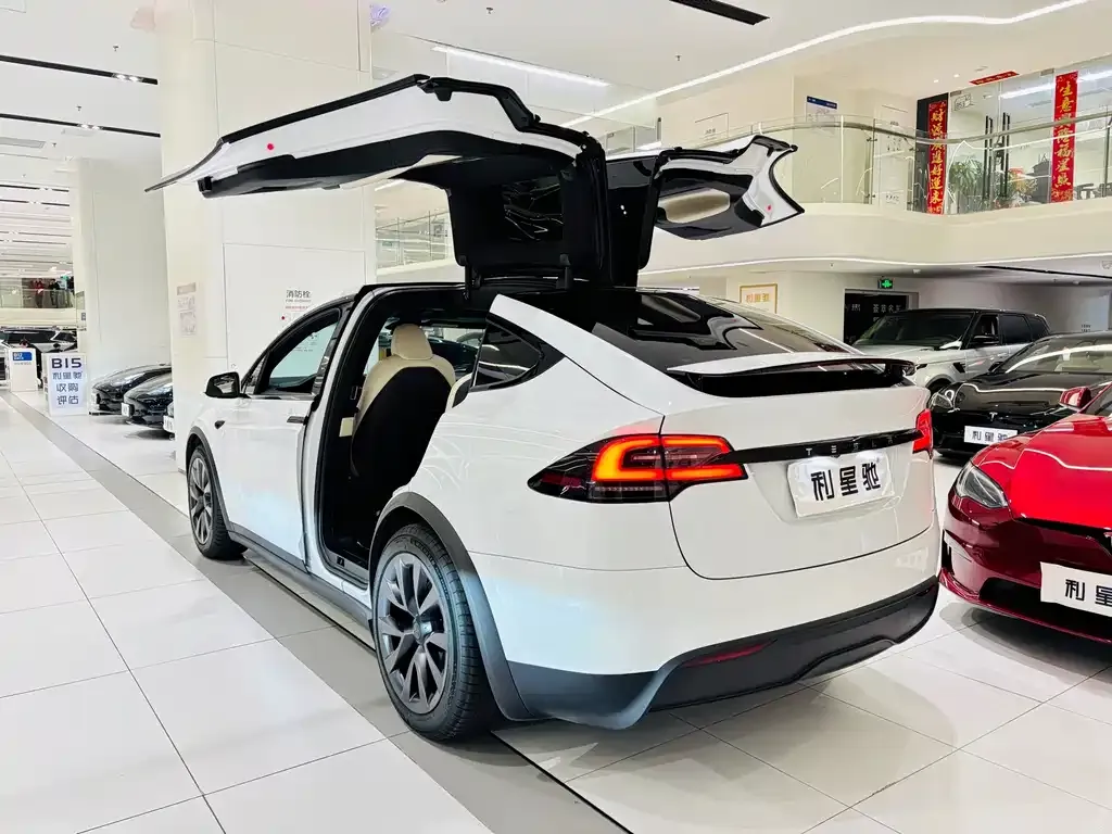 Tesla Model X — фото 6