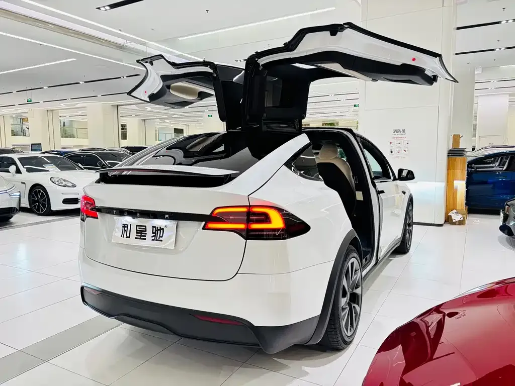 Tesla Model X — фото 3