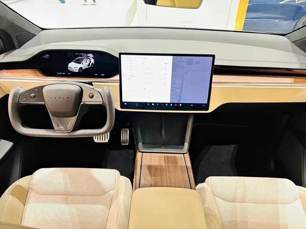 Tesla Model X — фото 4