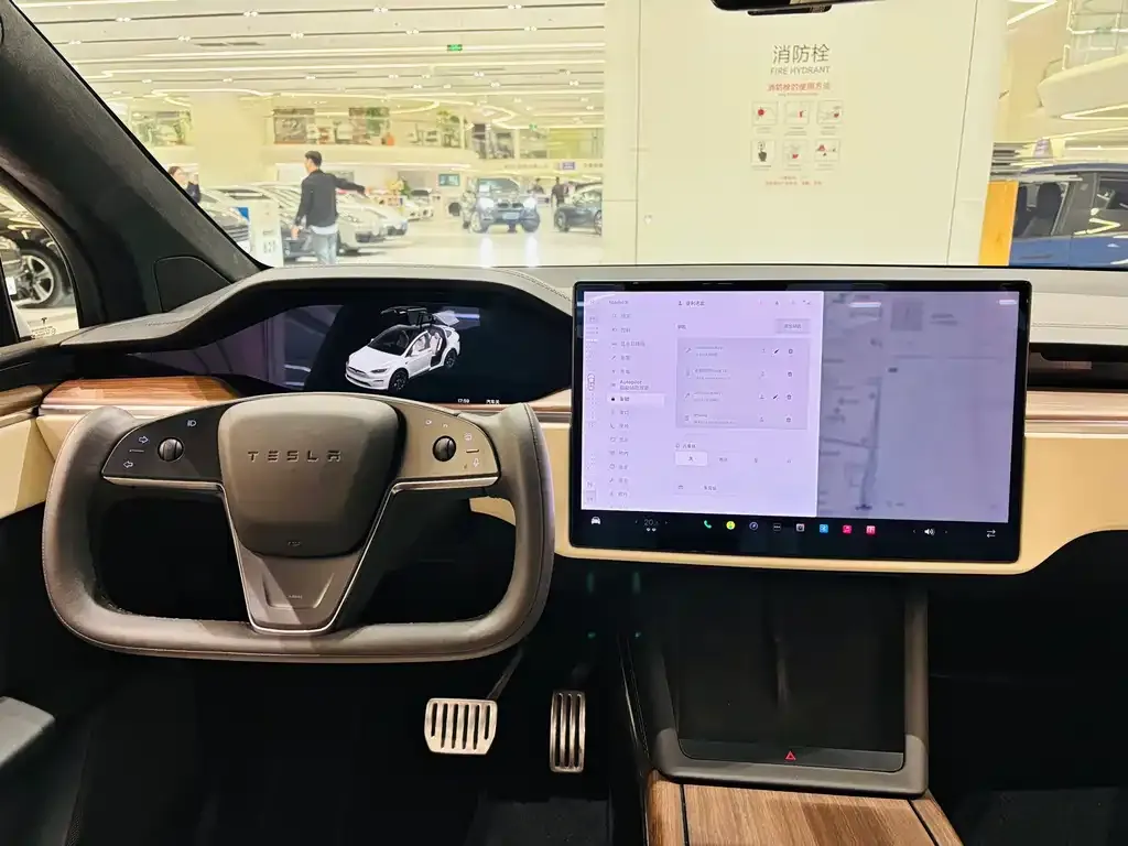 Tesla Model X — фото 5