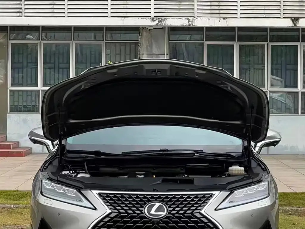 Lexus RX — фото 9