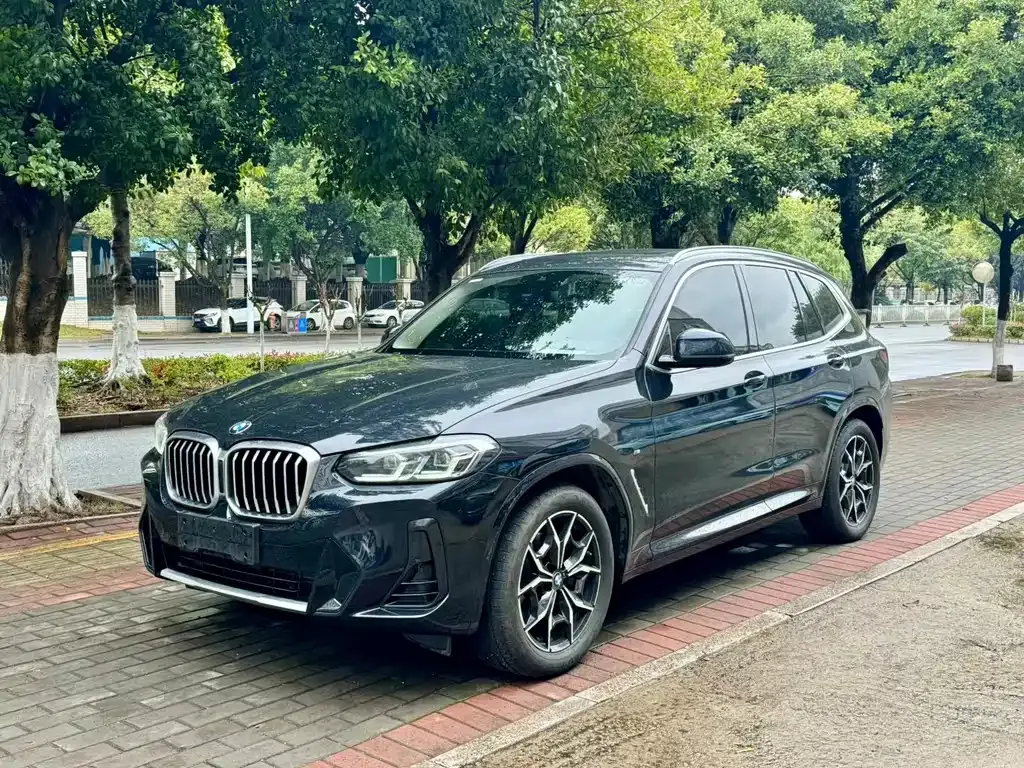 BMW X3 — фото 1