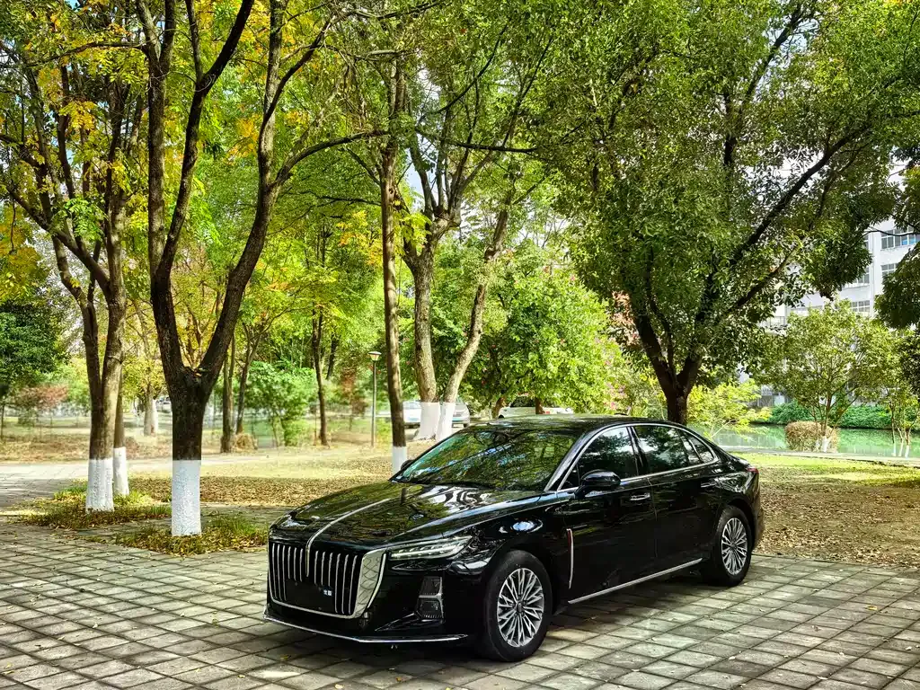 Hongqi H5 — фото 1