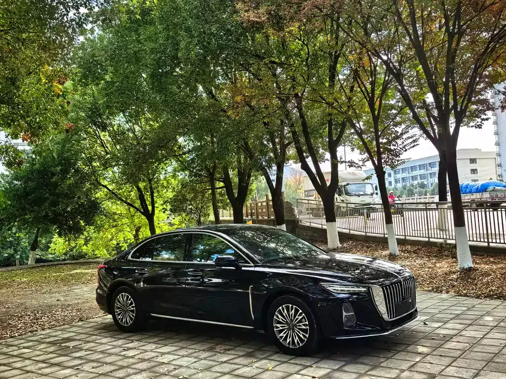 Hongqi H5 — фото 3