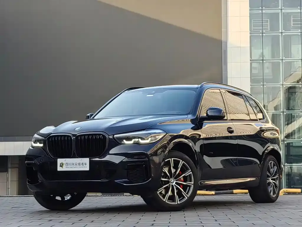 BMW X5 — фото 1