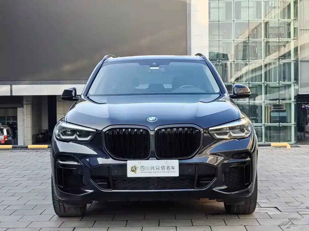 BMW X5 — фото 2