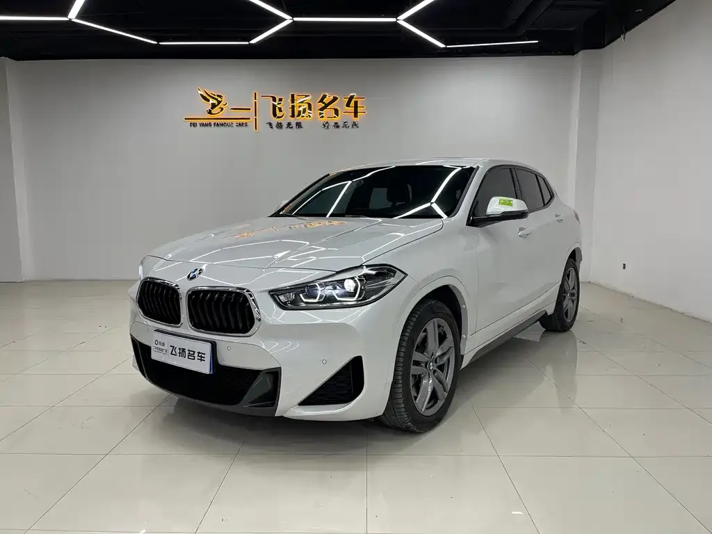 BMW X2 — фото 1