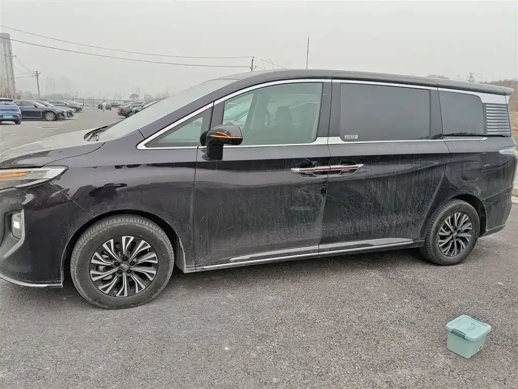 Hongqi HQ9 PHEV — фото 3