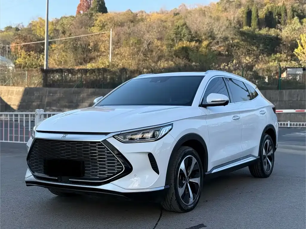 BYD PLUS New Energy — фото 1