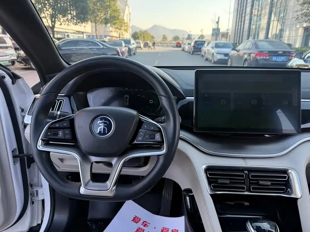 BYD PLUS New Energy — фото 10