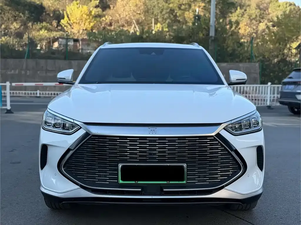BYD PLUS New Energy — фото 2