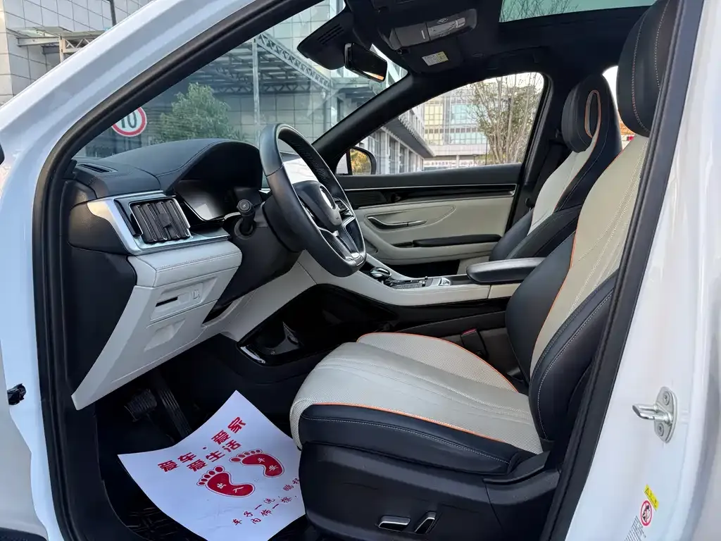 BYD PLUS New Energy — фото 6