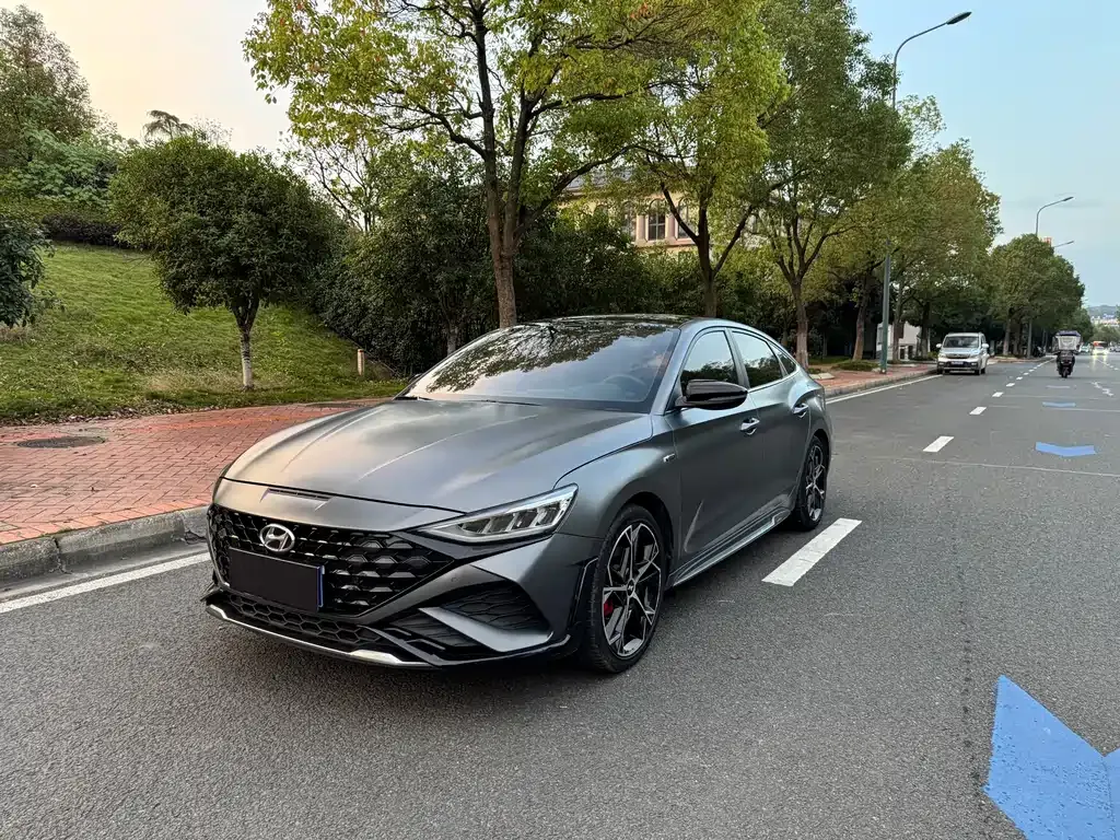 Hyundai Fista — фото 1