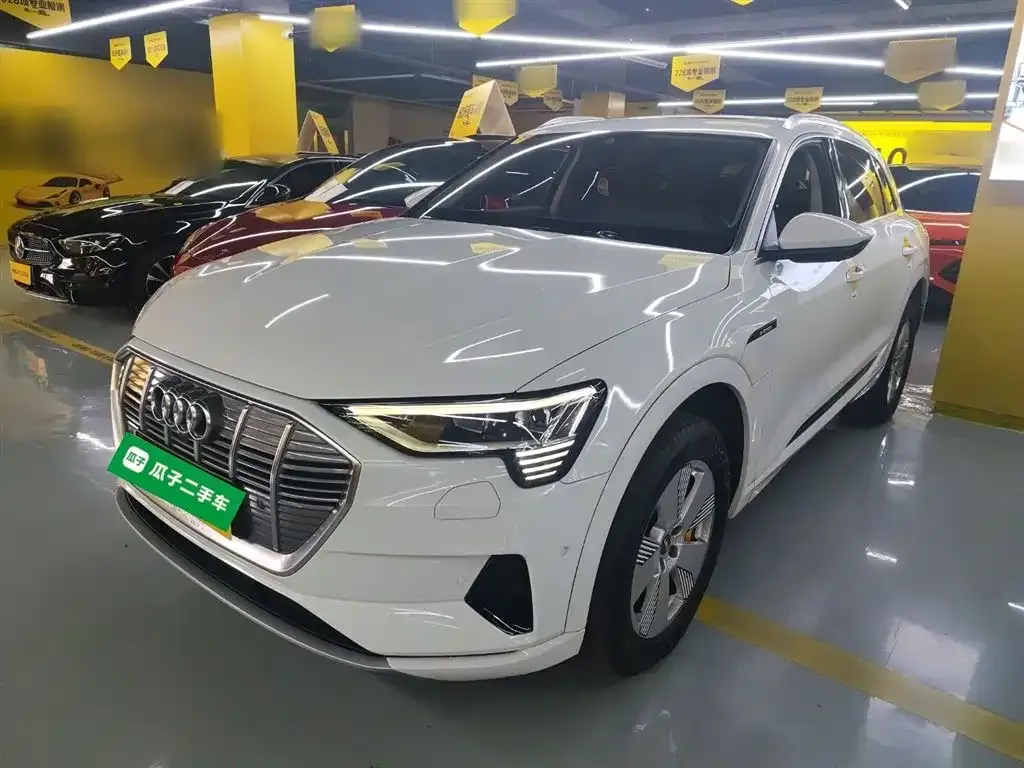 Audi e-tron (Import) — фото 2