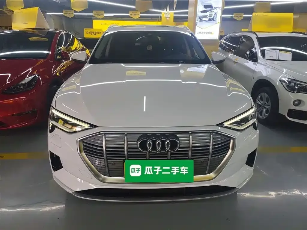 Audi e-tron (Import) — фото 8
