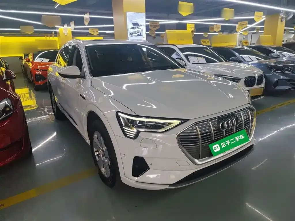 Audi e-tron (Import) — фото 4