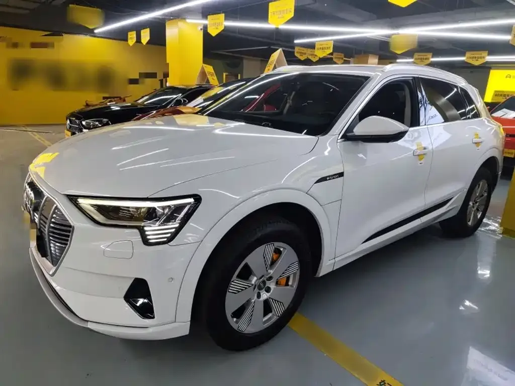 Audi e-tron (Import) — фото 5