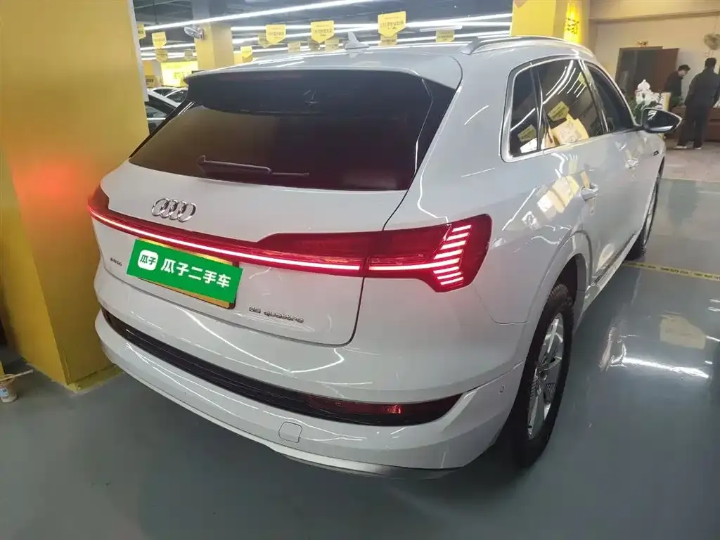 Audi e-tron (Import) — фото 10