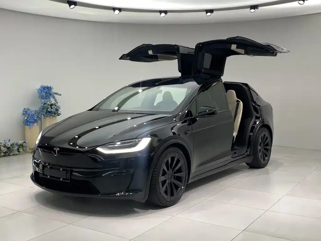 Tesla Model X — фото 1