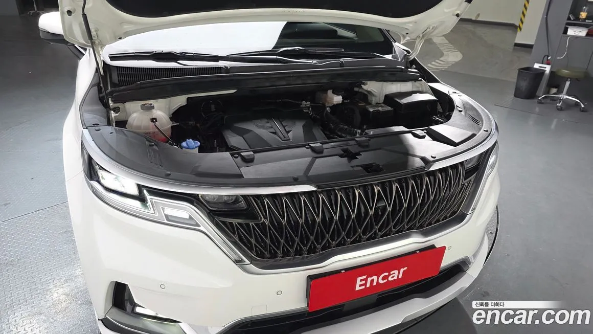 Kia Carnival — фото 10