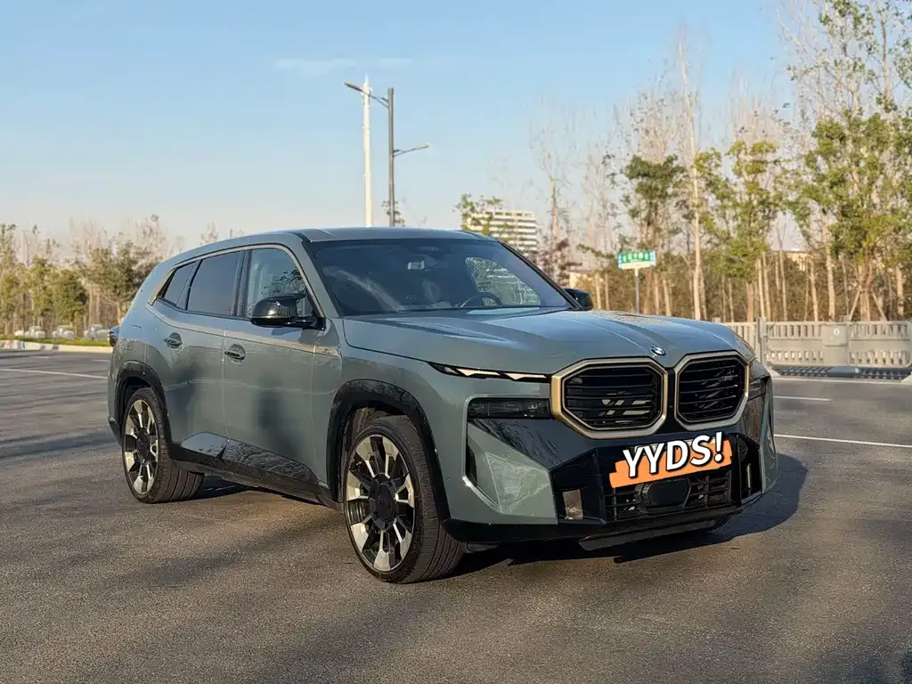 BMW XM — фото 7