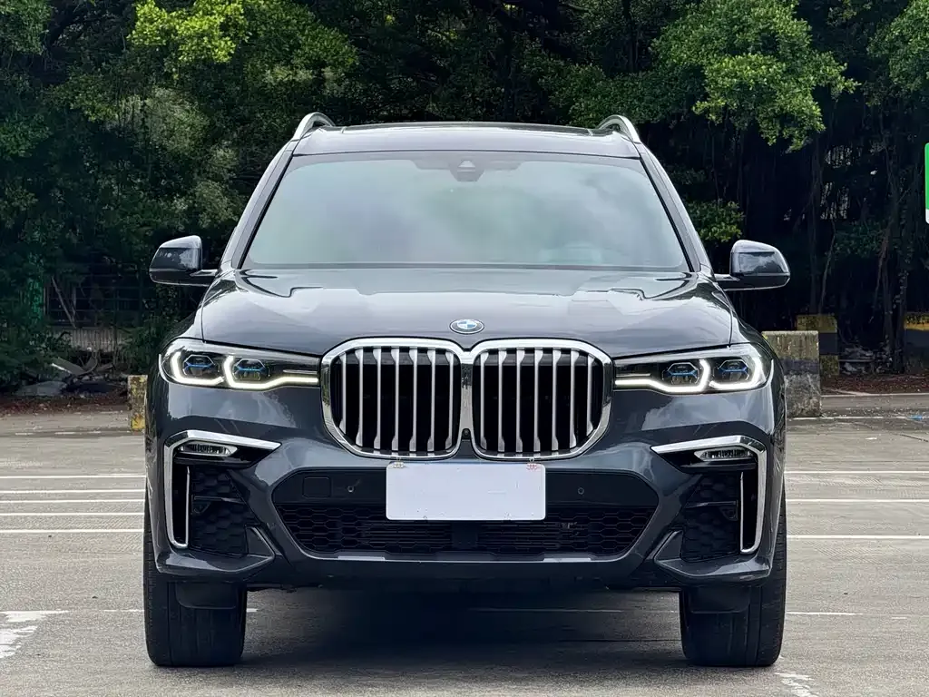 BMW X7 — фото 8