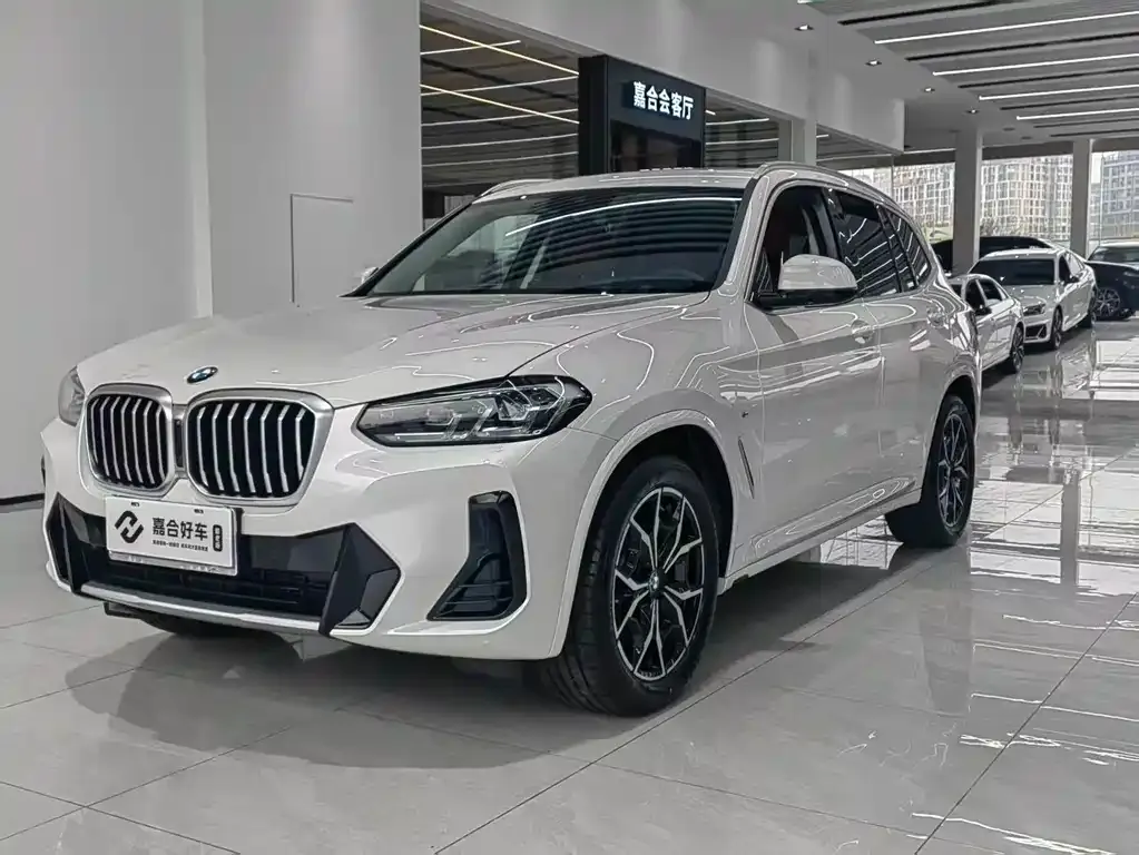 BMW X3 — фото 1
