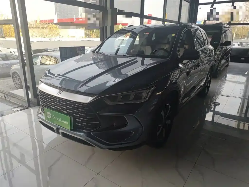BYD Pro New Energy — фото 1