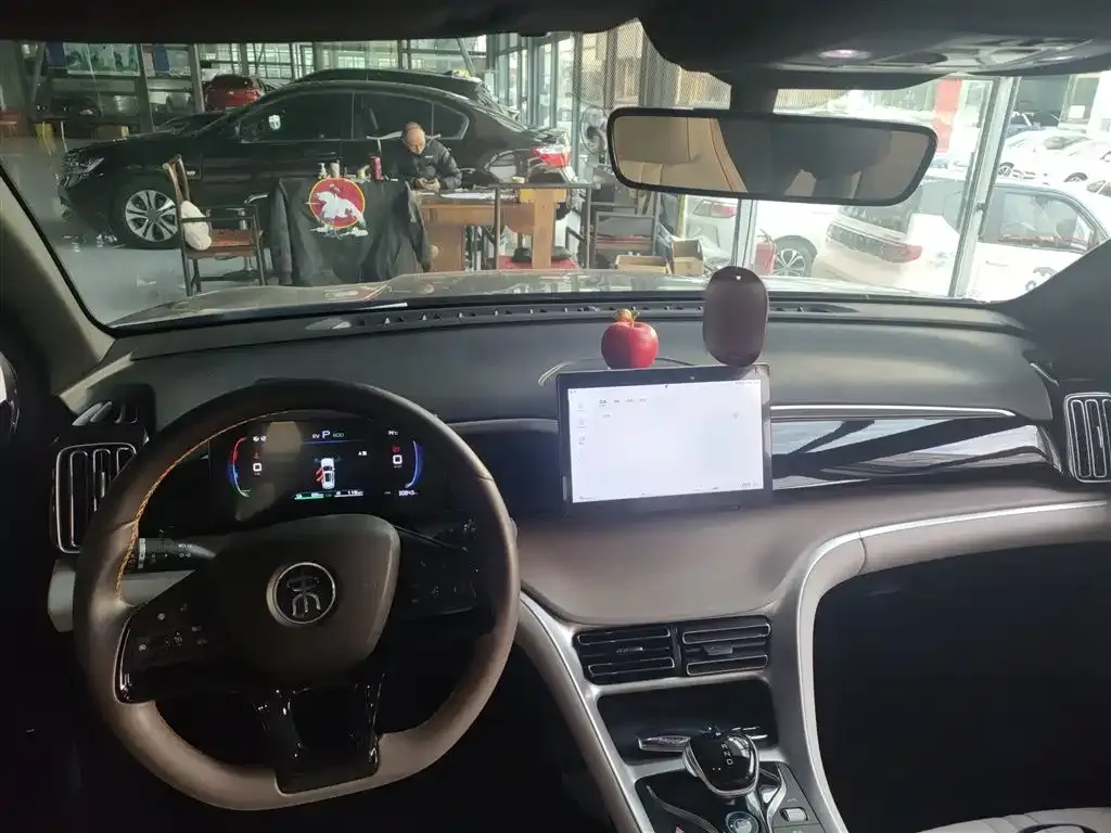 BYD Pro New Energy — фото 10