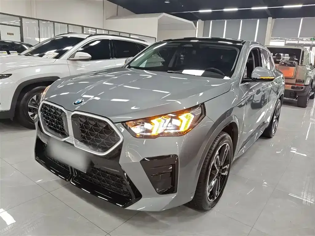BMW X2 (Import) — фото 6