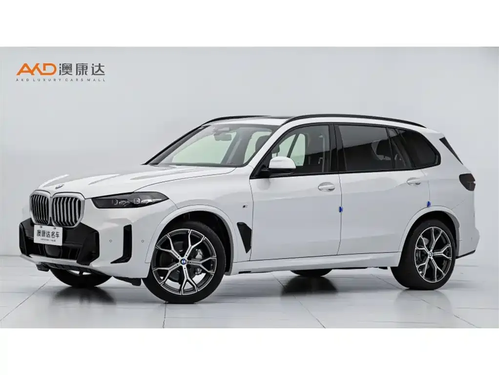 BMW X5 — фото 1