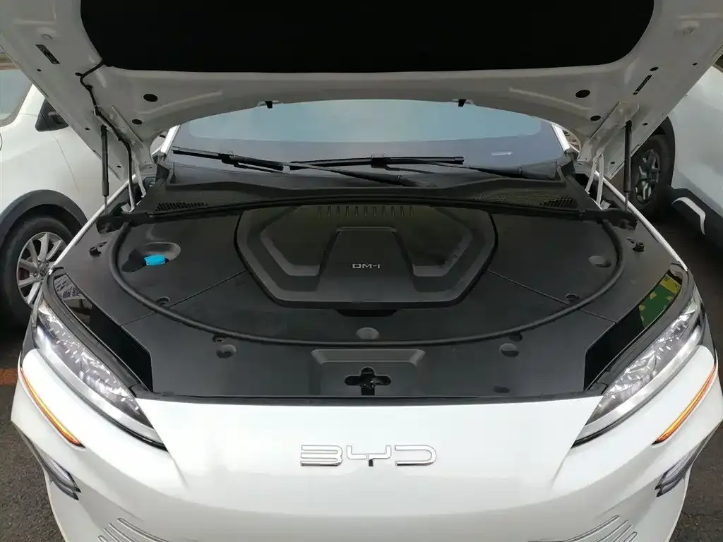 BYD PLUS New Energy — фото 9