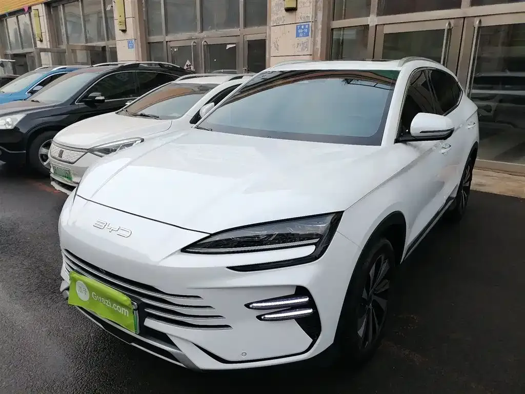 BYD PLUS New Energy — фото 8
