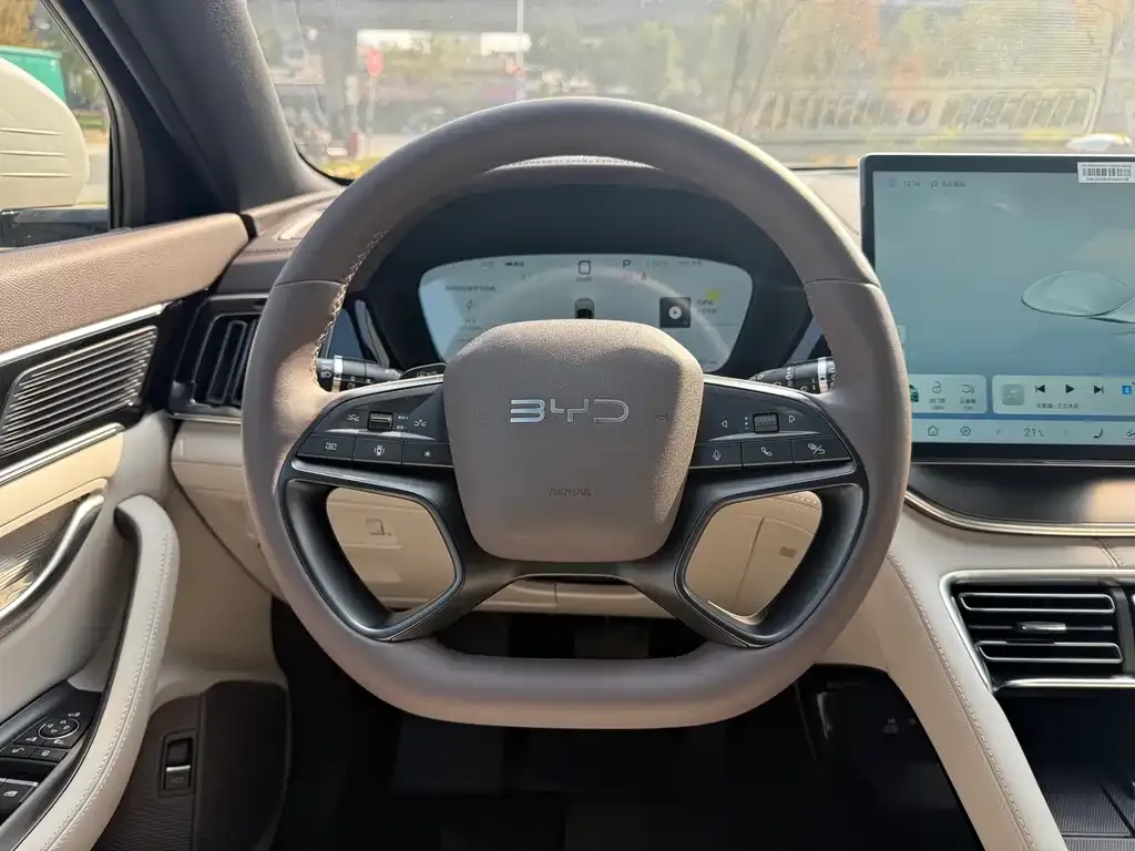 BYD PLUS New Energy — фото 3