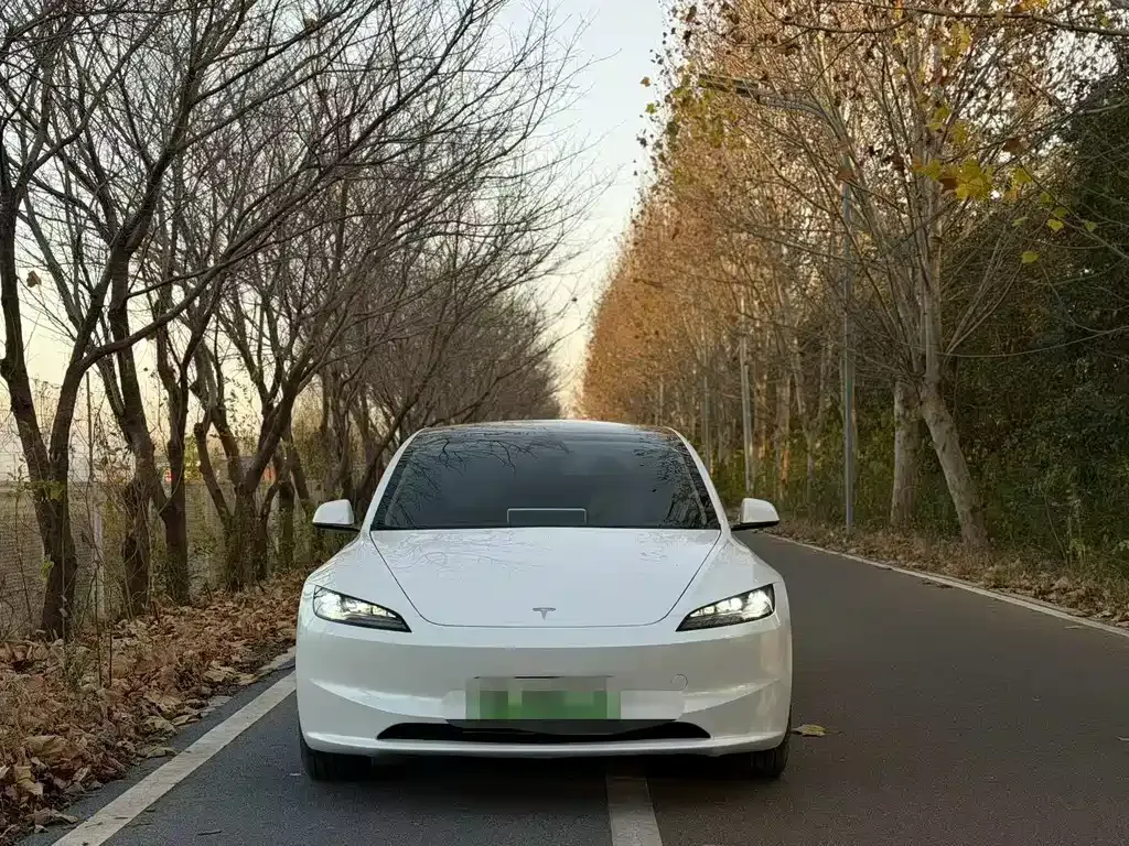 Tesla Model 3 — фото 2