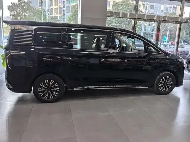 Hongqi HQ9 PHEV — фото 6