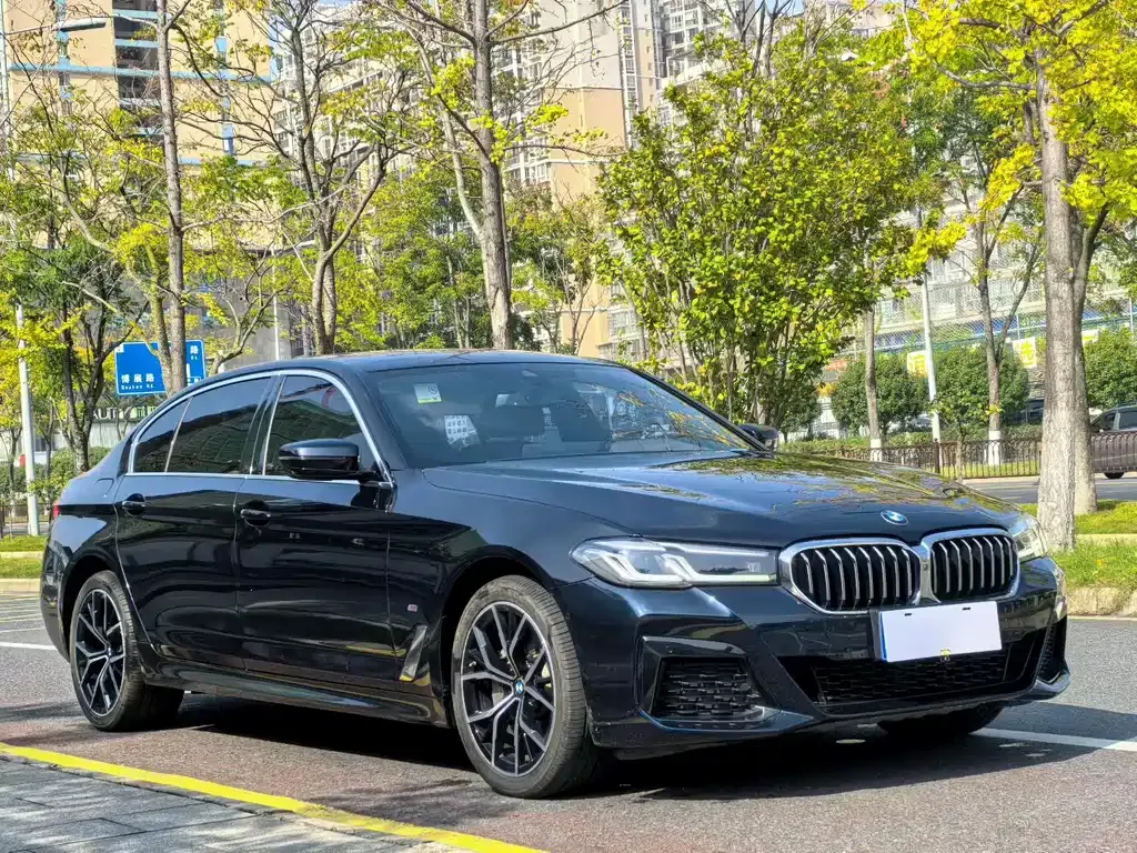 BMW 5 Series — фото 1