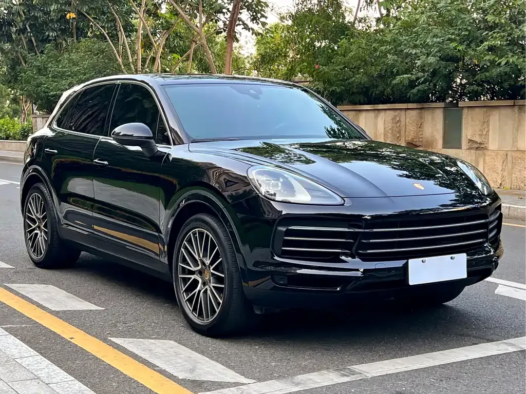 Porsche Cayenne — фото 10