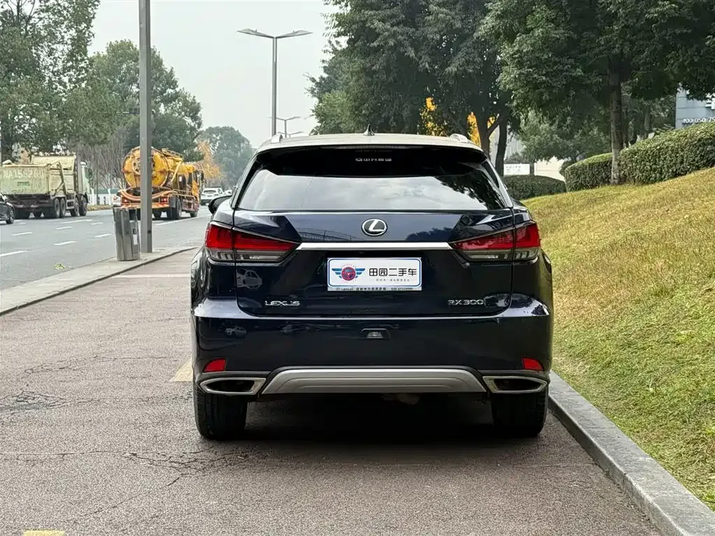 Lexus RX — фото 9