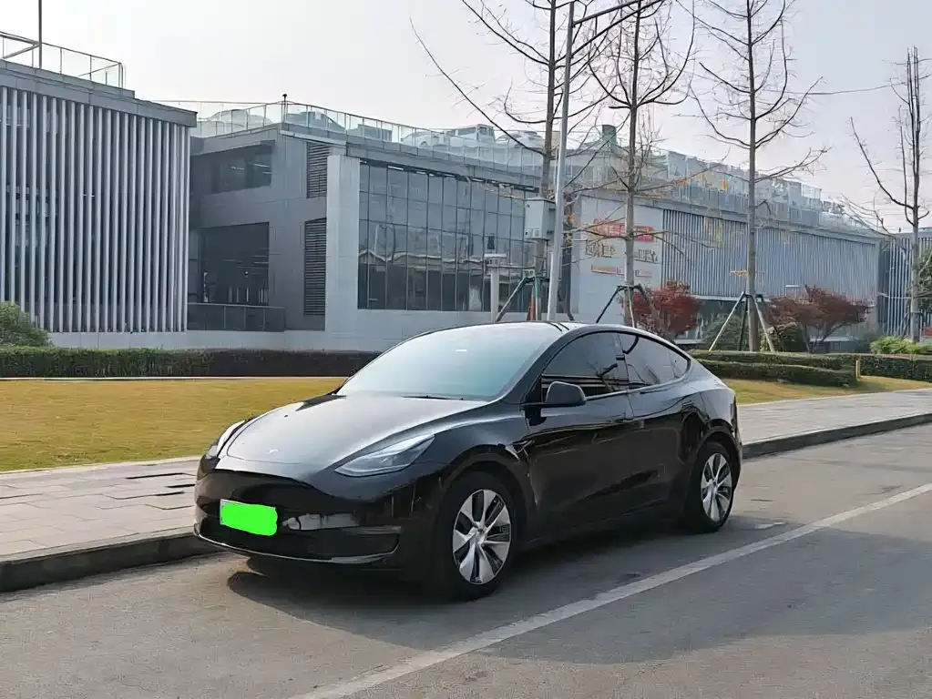 Tesla Model Y — фото 1