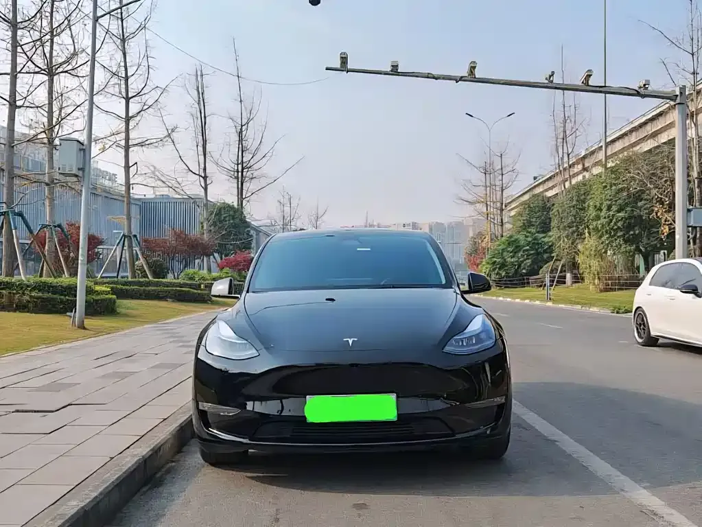 Tesla Model Y — фото 5