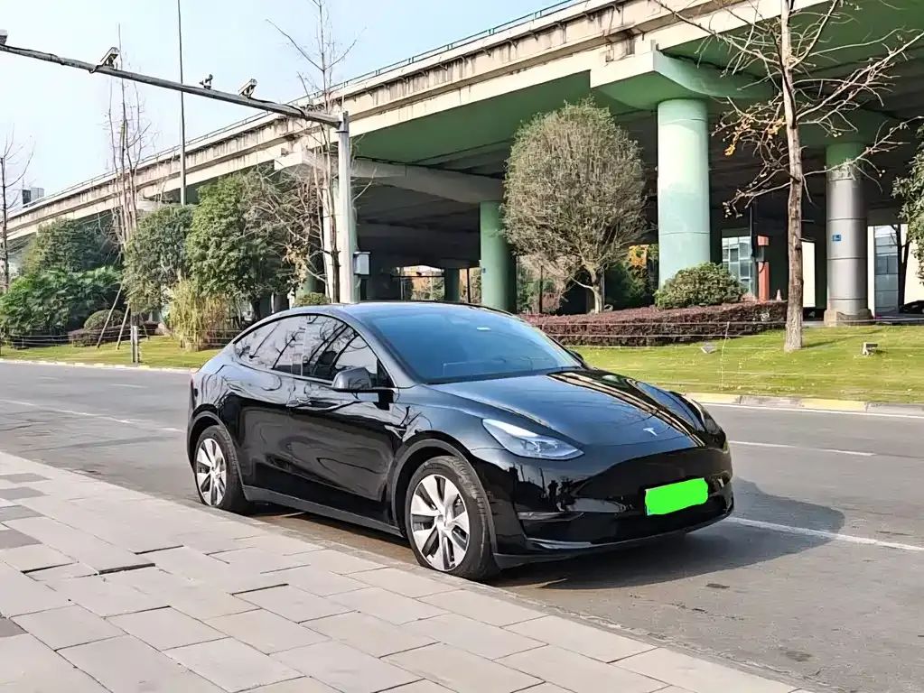 Tesla Model Y — фото 9