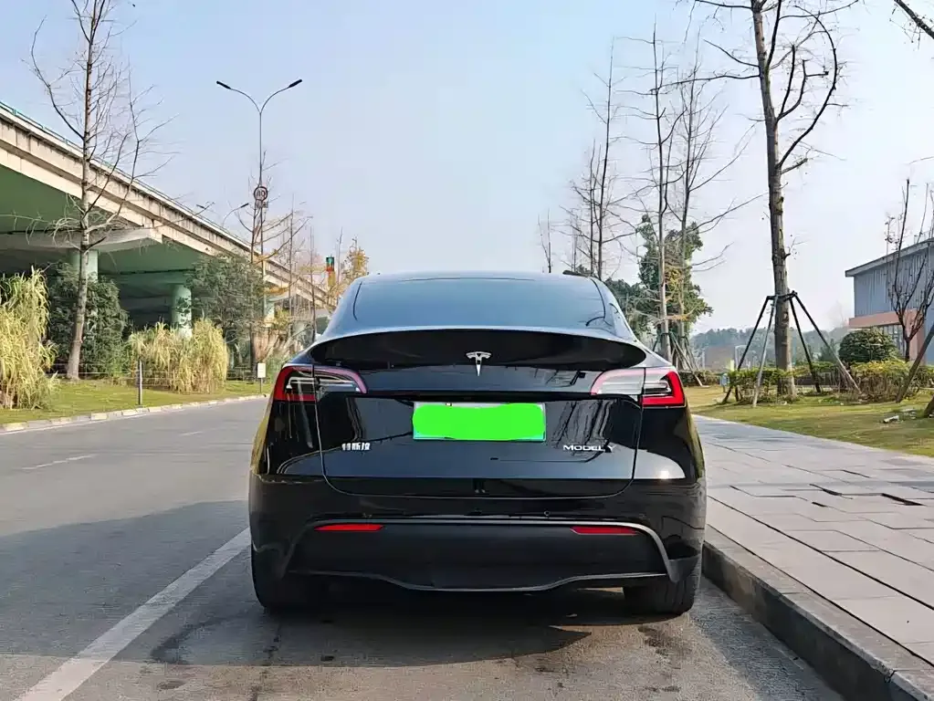 Tesla Model Y — фото 6