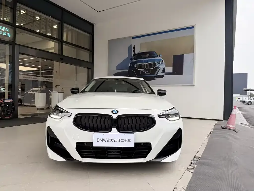 BMW 2 Series (Import) — фото 9