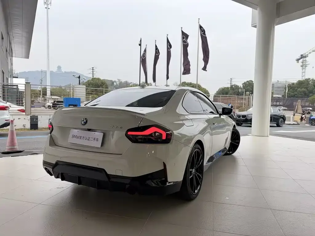 BMW 2 Series (Import) — фото 10