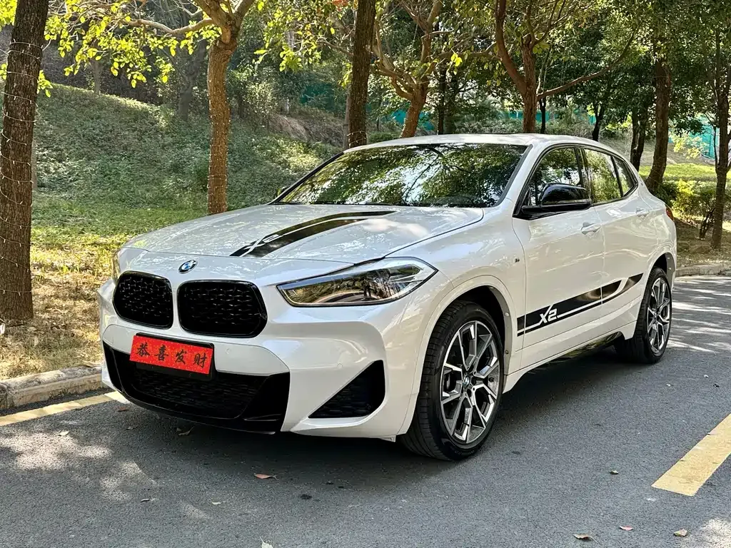 BMW X2 — фото 1